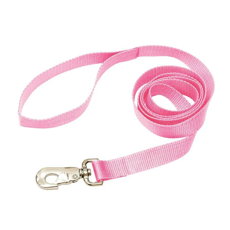 Nylon Leash