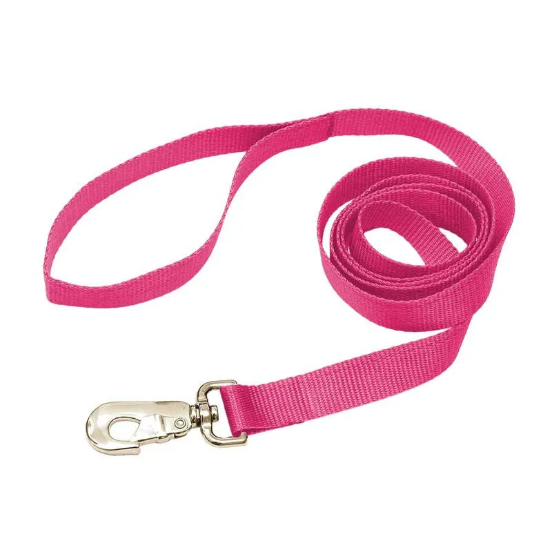 Nylon Leash