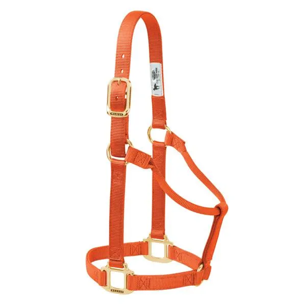 Weaver Average Horse Non-Adjustable 1" Nylon Halter