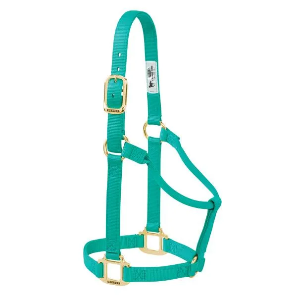 Weaver Average Horse Non-Adjustable 1" Nylon Halter