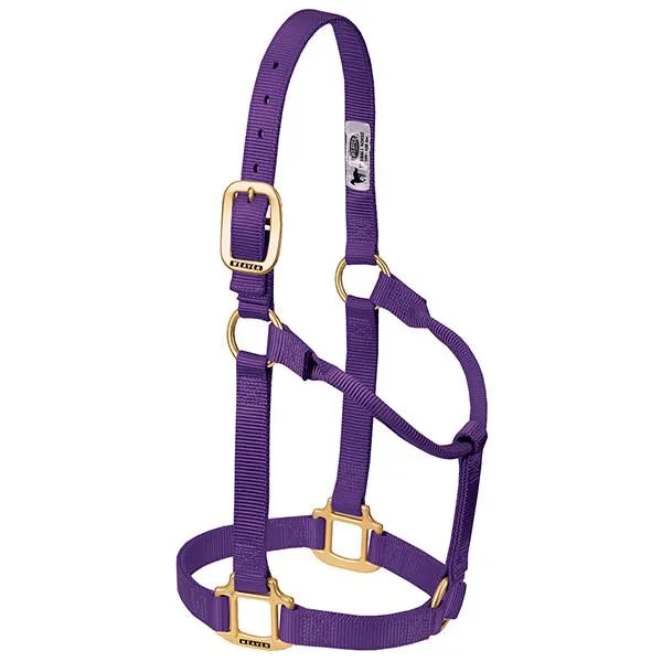 Weaver Average Horse Non-Adjustable 1" Nylon Halter