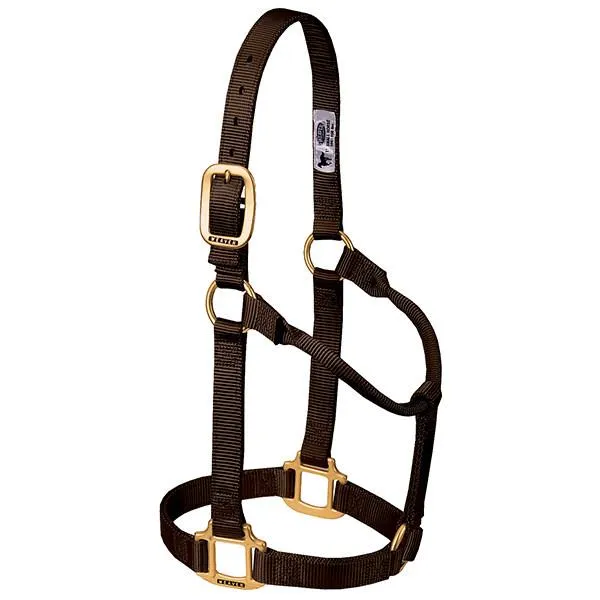 Weaver Average Horse Non-Adjustable 1" Nylon Halter