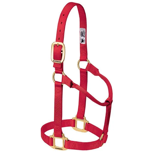 Weaver Average Horse Non-Adjustable 1" Nylon Halter