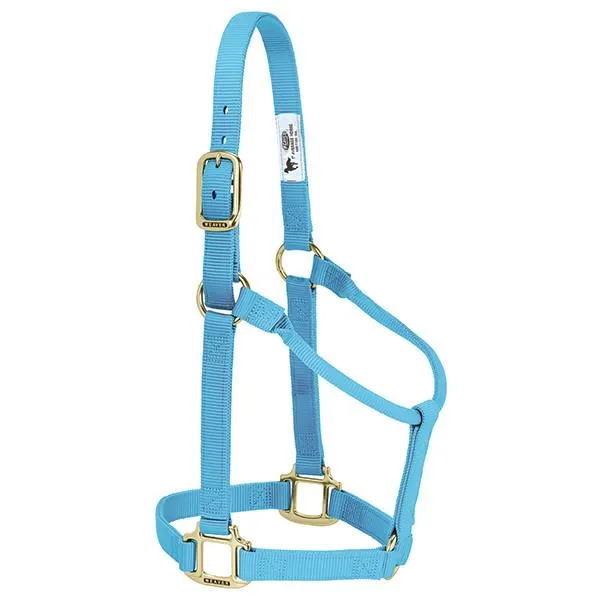 Weaver Average Horse Non-Adjustable 1" Nylon Halter
