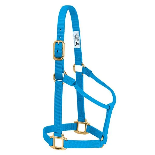 Weaver Average Horse Non-Adjustable 1" Nylon Halter