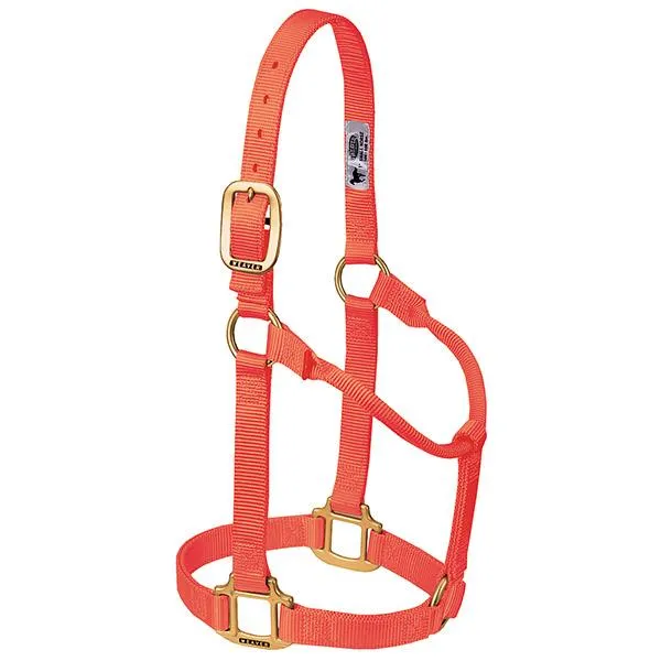 Weaver Average Horse Non-Adjustable 1" Nylon Halter