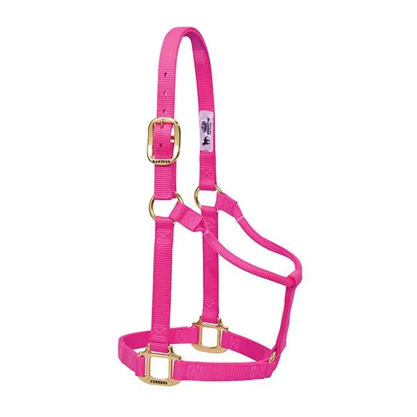 Weaver Average Horse Non-Adjustable 1" Nylon Halter