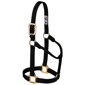 Weaver Average Horse Non-Adjustable 1" Nylon Halter